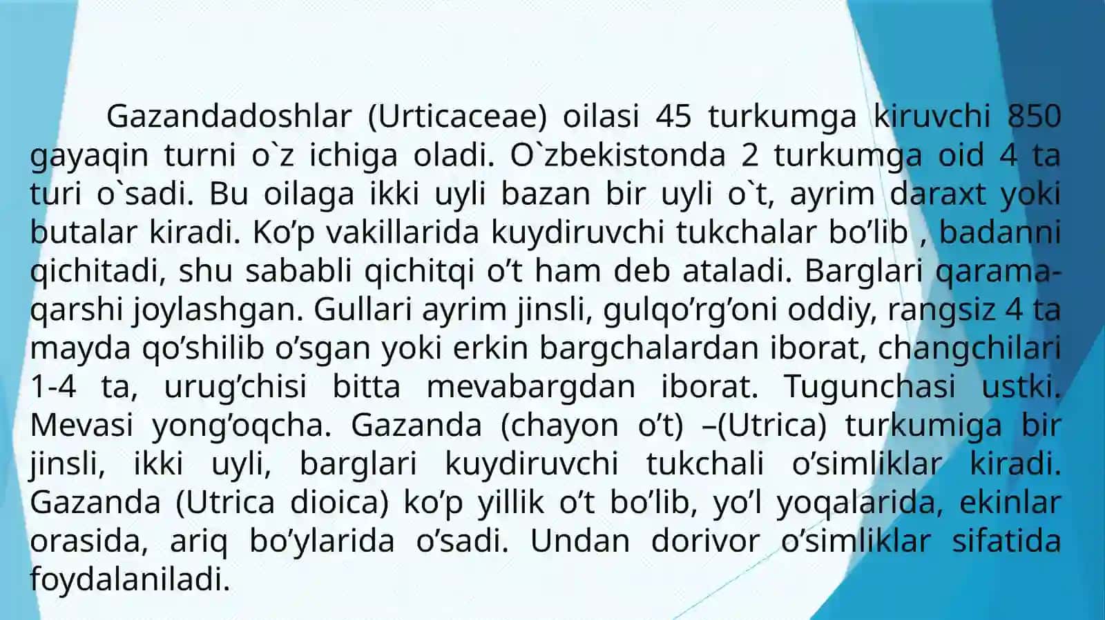 Gazandadoshlar(Urticaceae)oilasi 4