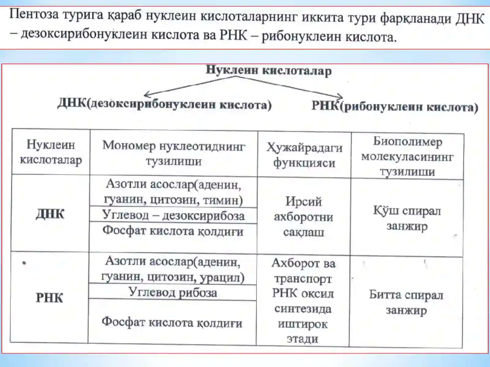 ХУЖАЙРА БИОЛОГИЯСИ 4