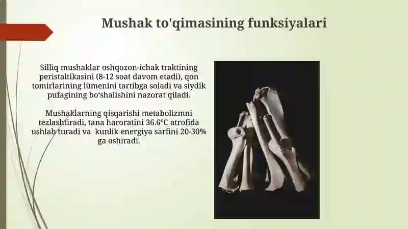 Suyak to'qimasi va muskul to'qimasi 4