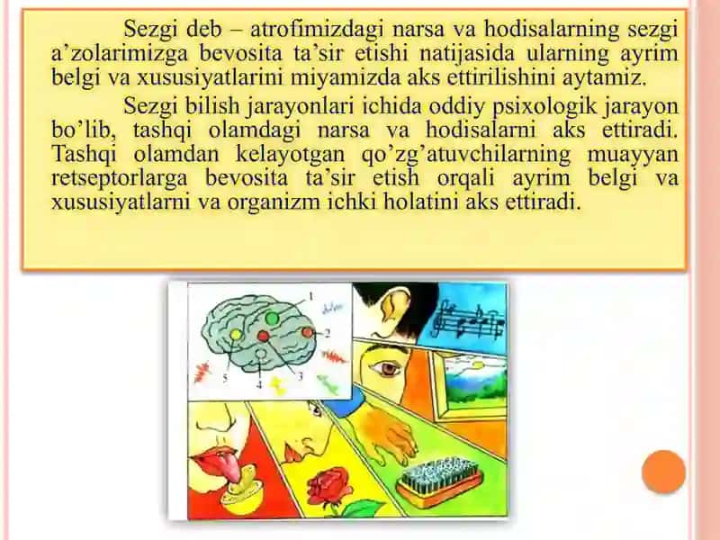 Sezgivai idrokning psixologik mohiyati 4