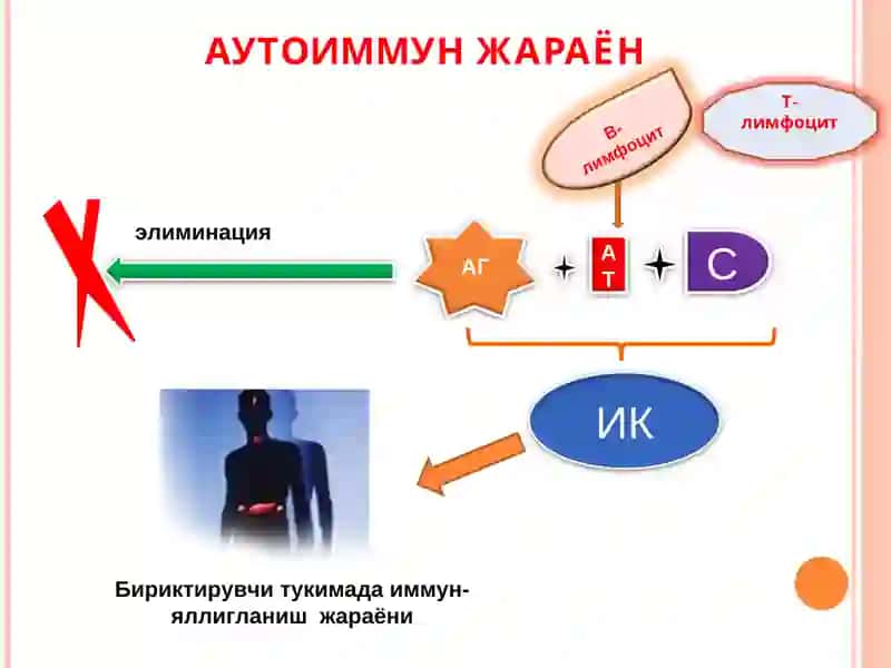 Диффуз касалликлари (БТДК) 4