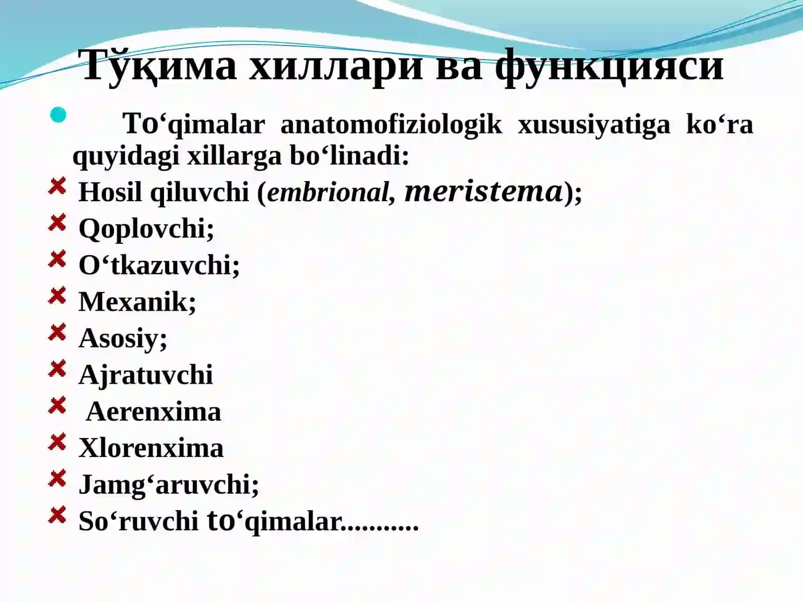 O‘simlik to‘qimalari 4