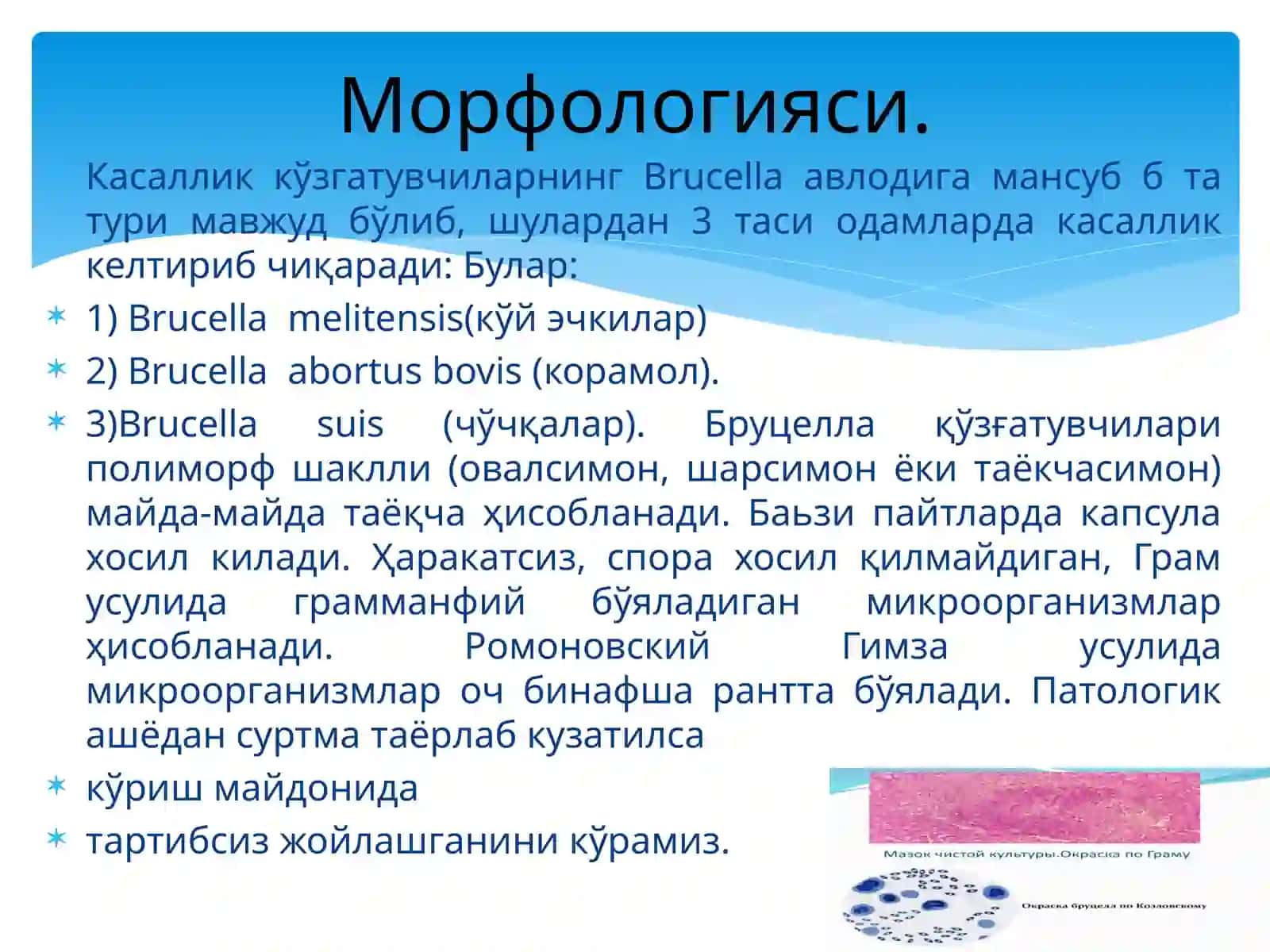 ЎТА ХАВФЛИ ИНФЕКЦИЯЛАР 4