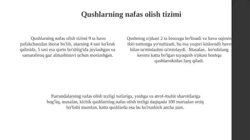 Limfa tizimining tuzilishi 4