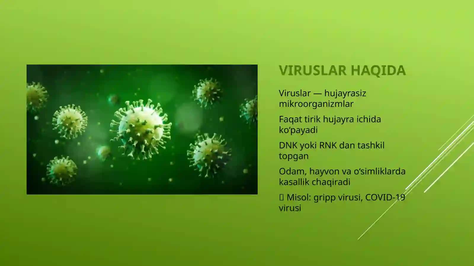 Epidemiya va inson viruslari prezintatsiya 4