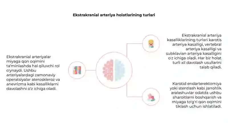 Ekstrakranial arteriyalarda zamonaviy operatsiyalar 4