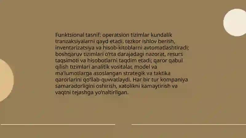 Axborot tizimlarining tasnifi 4