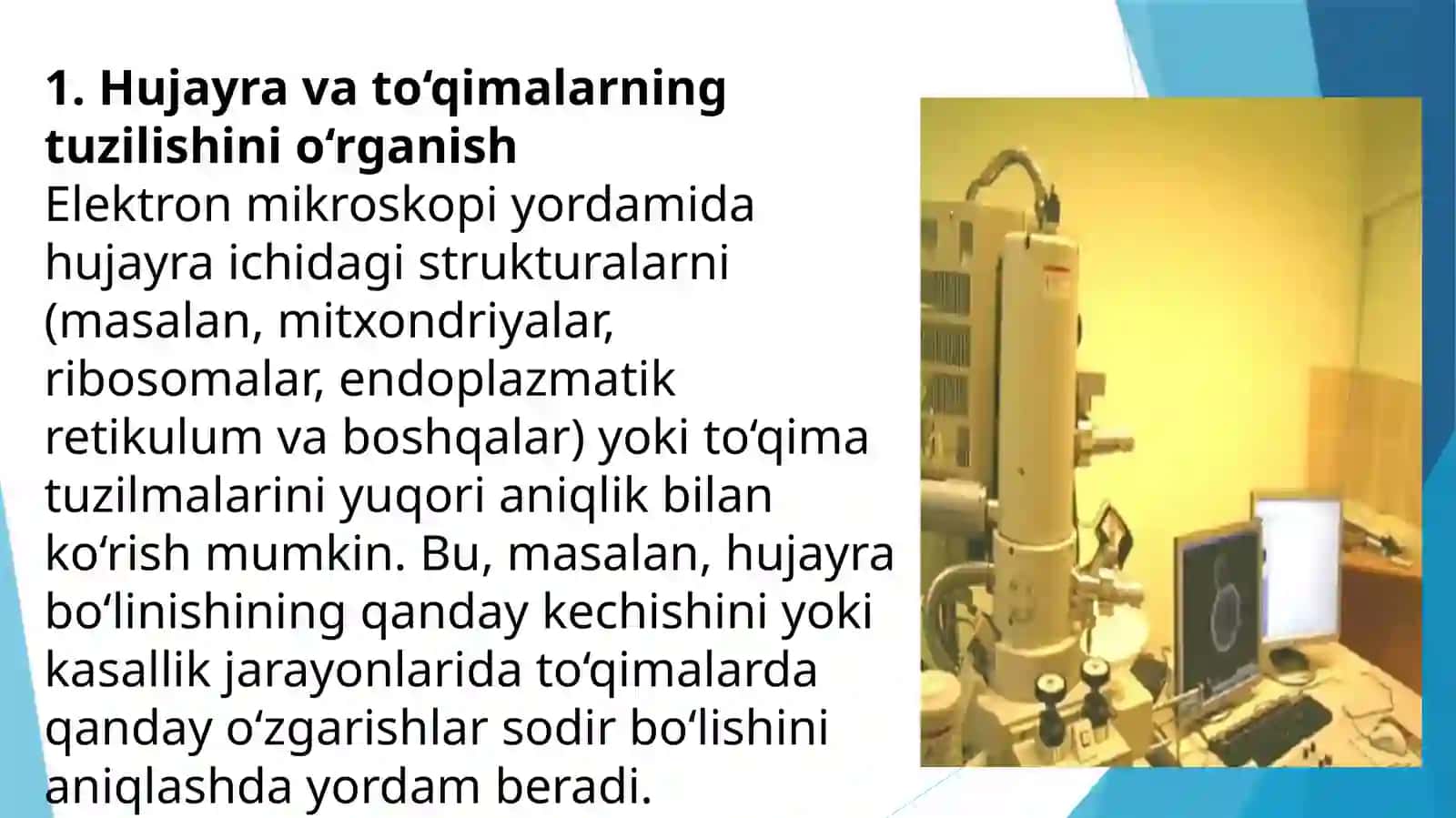 ELEKTRON MIKROSKOPIA TIBBIYOTDAGI AHAMIYATI 4