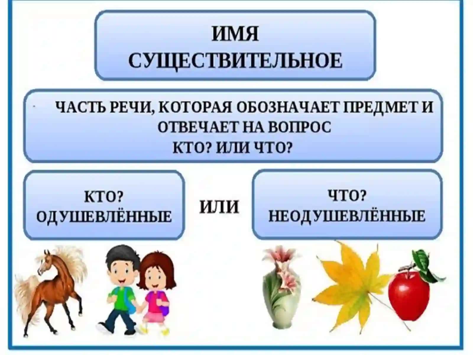 Имя существительное 4
