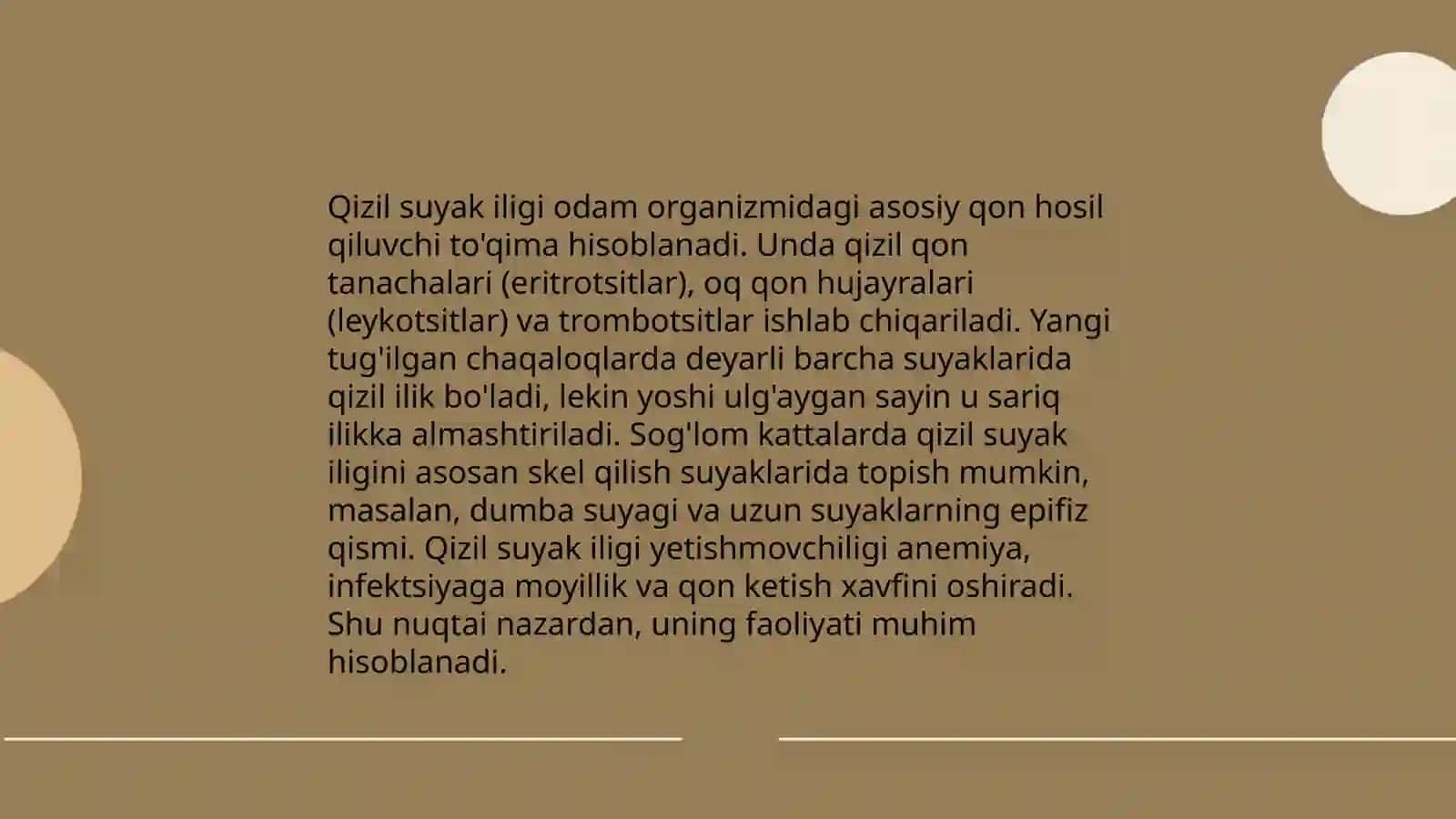 Timus (Vilicha bezi) 4