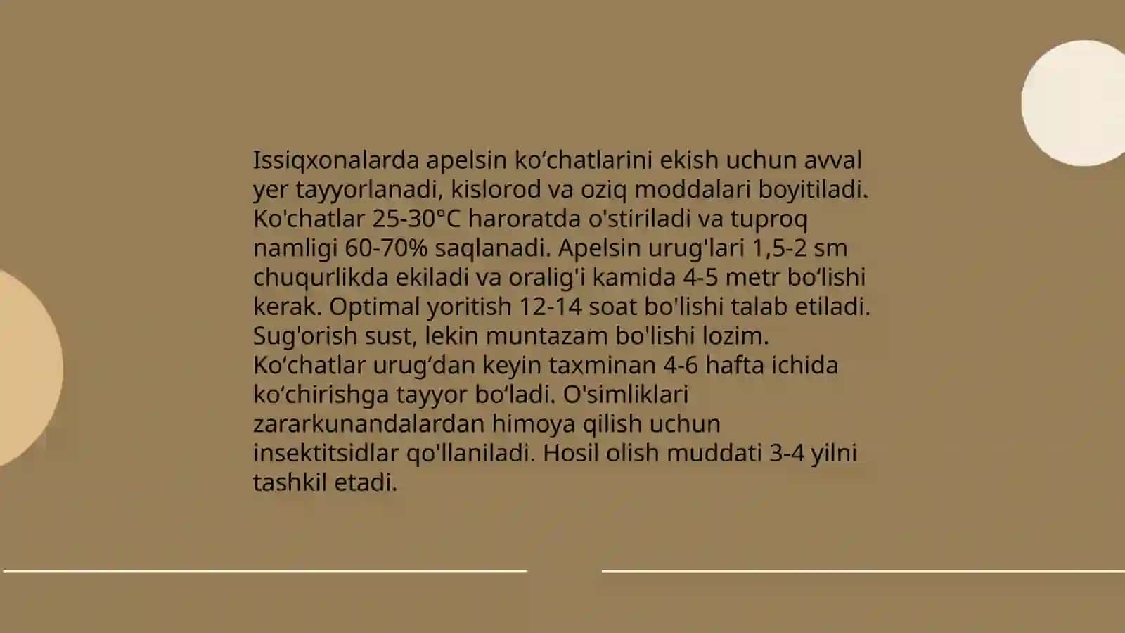 Apelsin oʻsimliklari parvarishlash 4