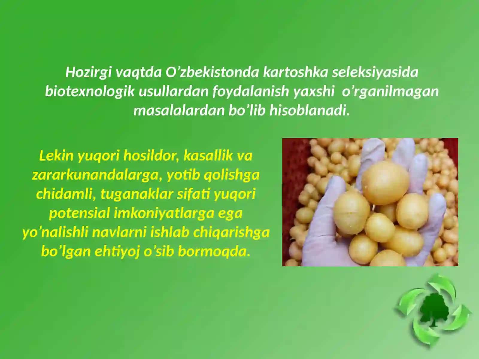 Kartoshkachilik fanidan Taqdimot 4