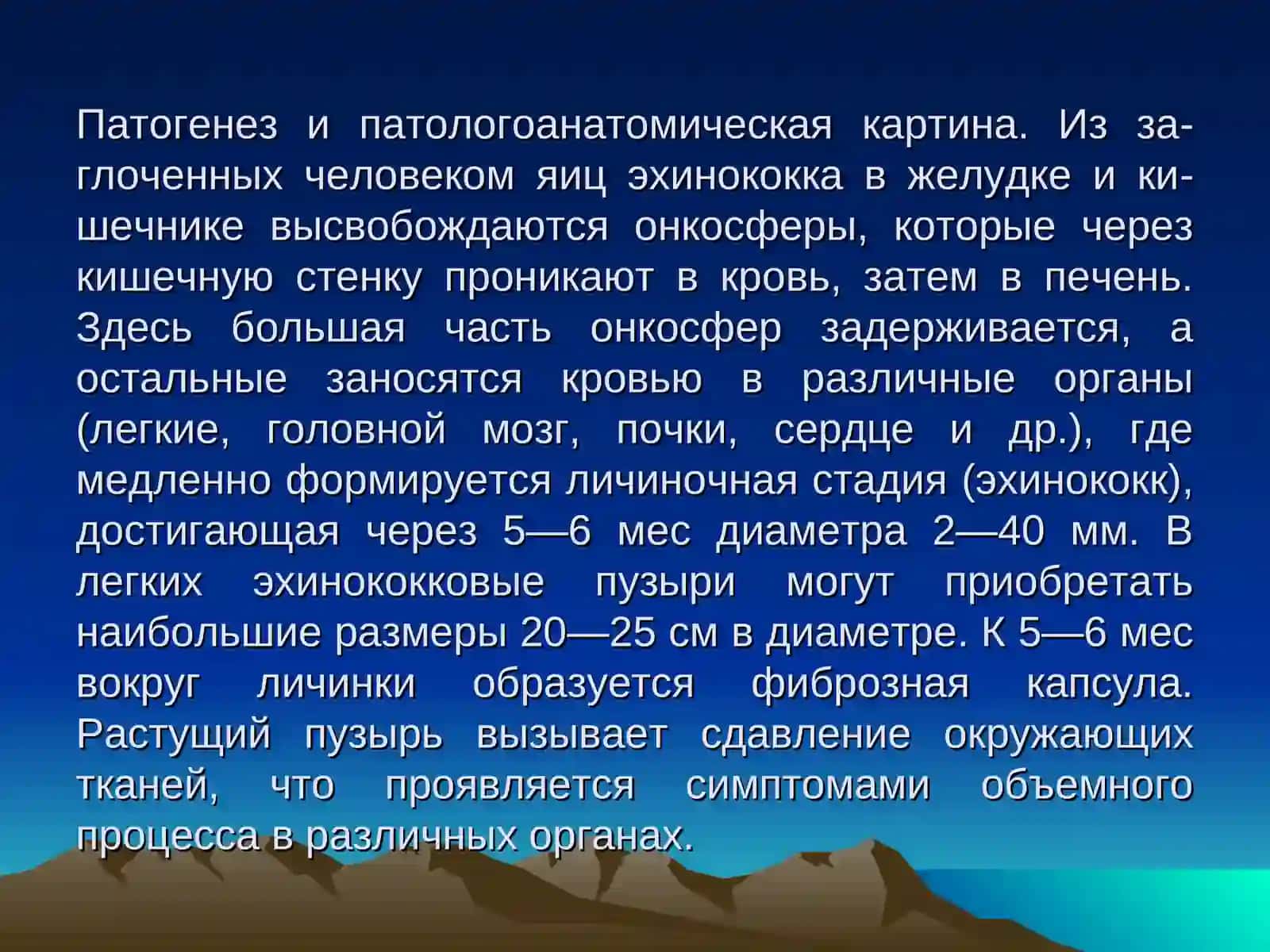 Эхинококкоз 4
