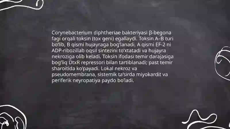 Difteriya kasalligining kelib chiqish sabablari va asoratlari 4