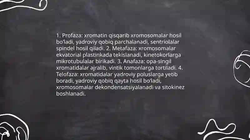 Mitoz va meyoz 4