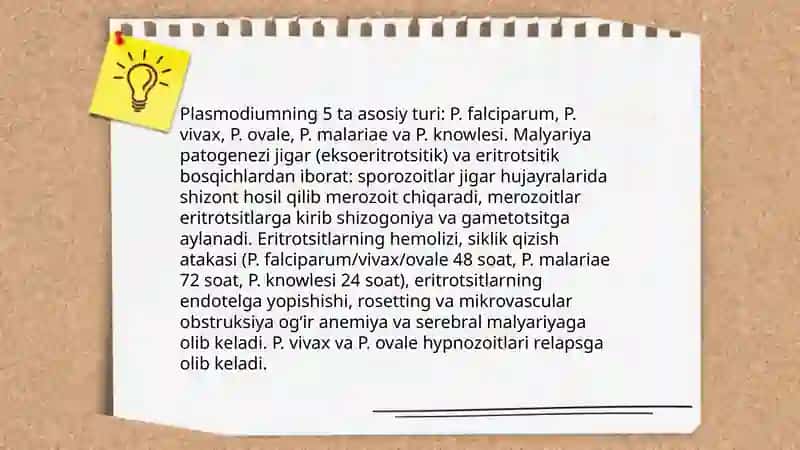 Sporalilar odam parazitlari 4