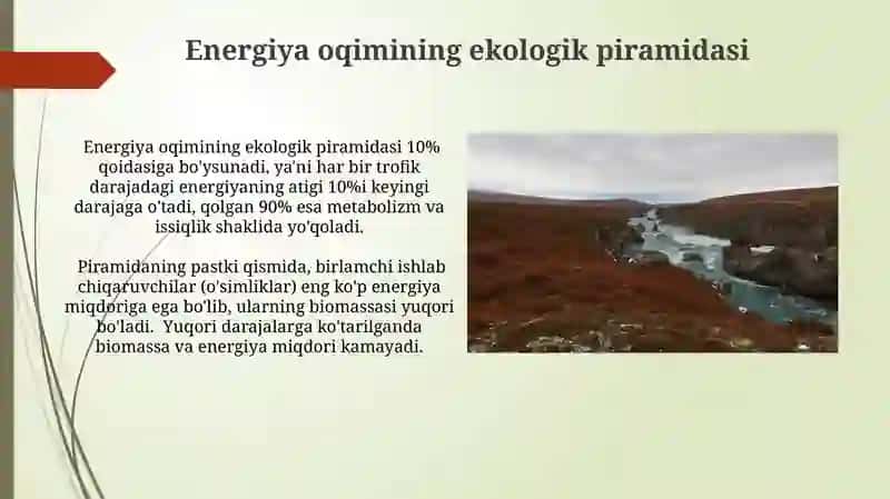 Landshaftlarda energiya oqimining oʻzgarishi 4