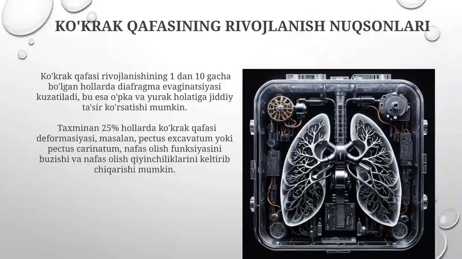 Nafas olish jarayoni 4