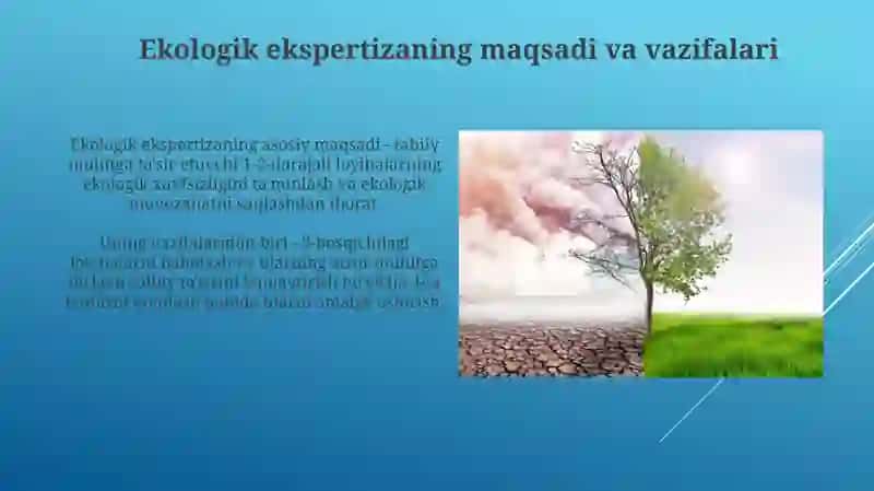 Ekologik ekspertiza 4