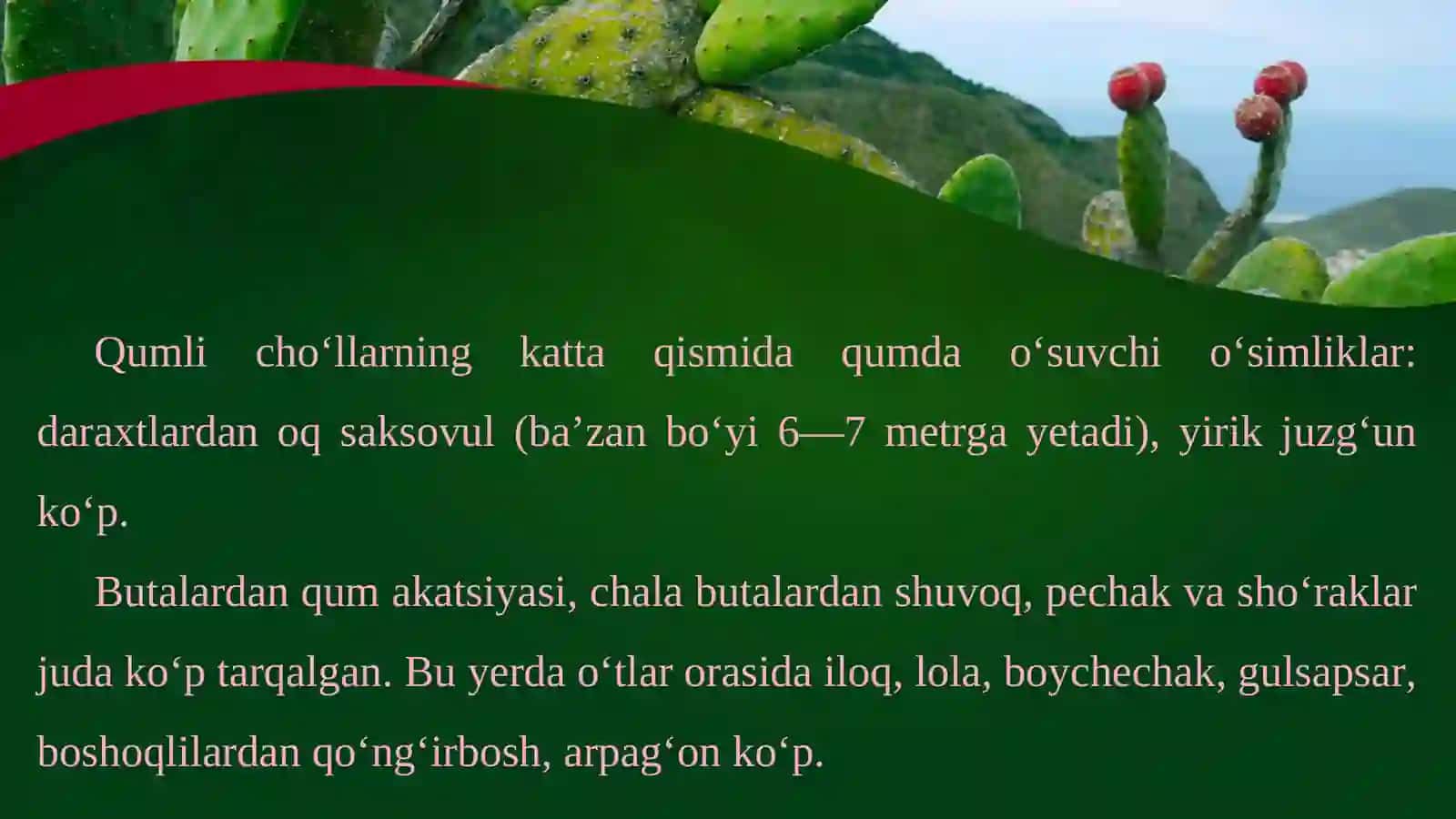 O’rta Osiyo cho‘l o‘simliklari 4