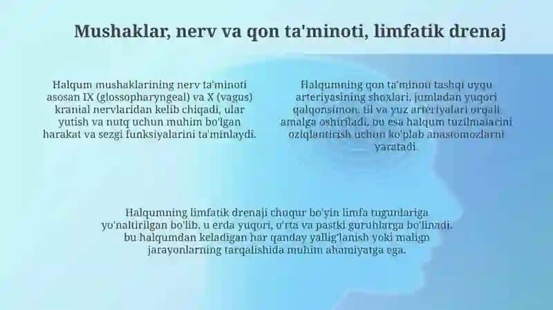 Halqumning klinik anatomiyasi 4