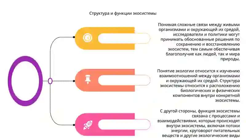 Понятие об екологии 4