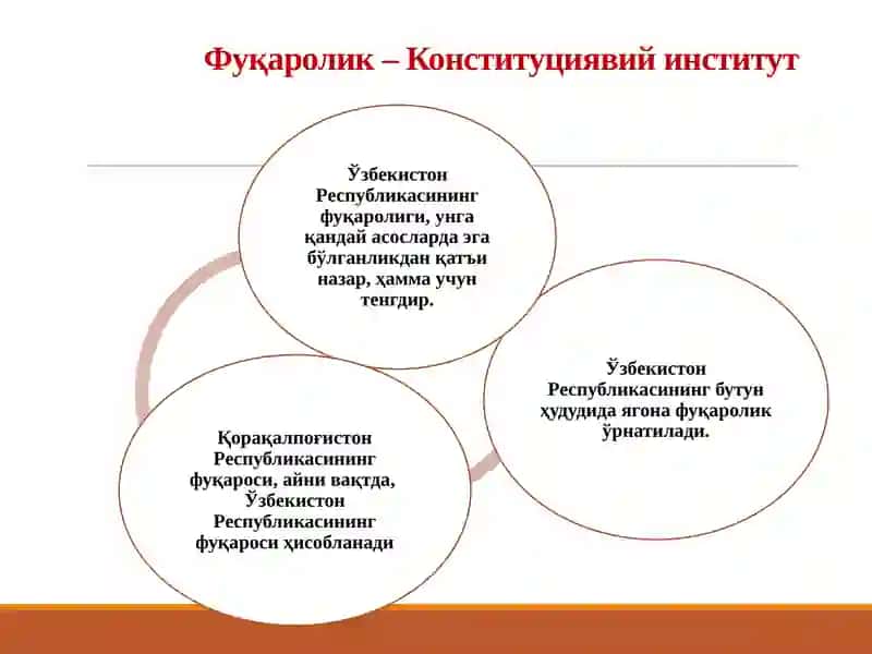 O‘ZBEKISTON RESPUBLIKASI FUQAROLIGI 4