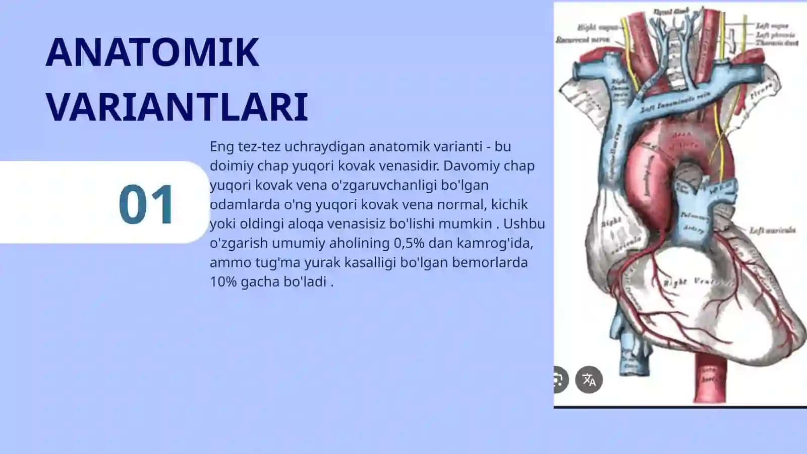 YUQORI KOVAK VENA TIZIMI 4