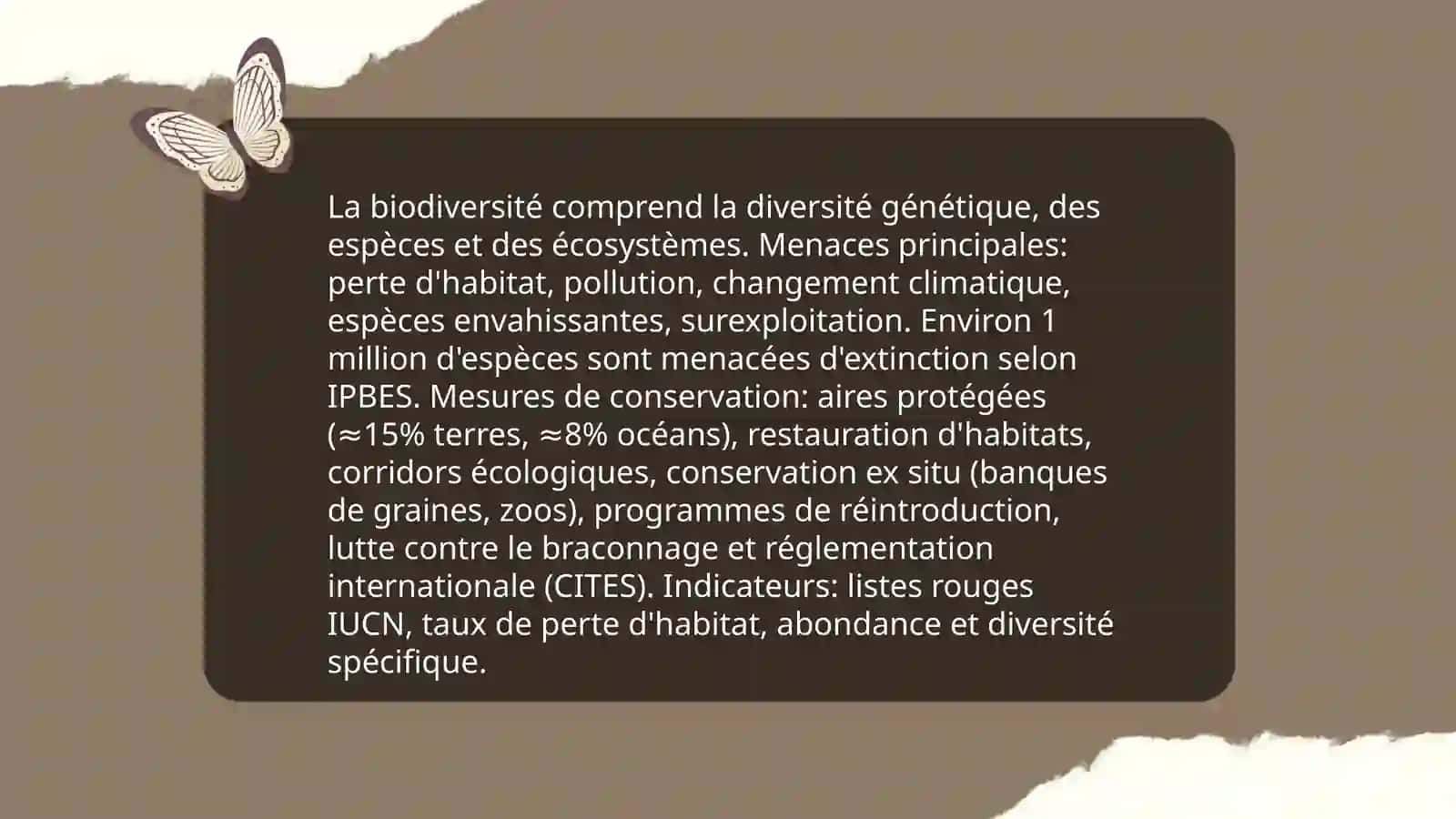 L'environnement 4