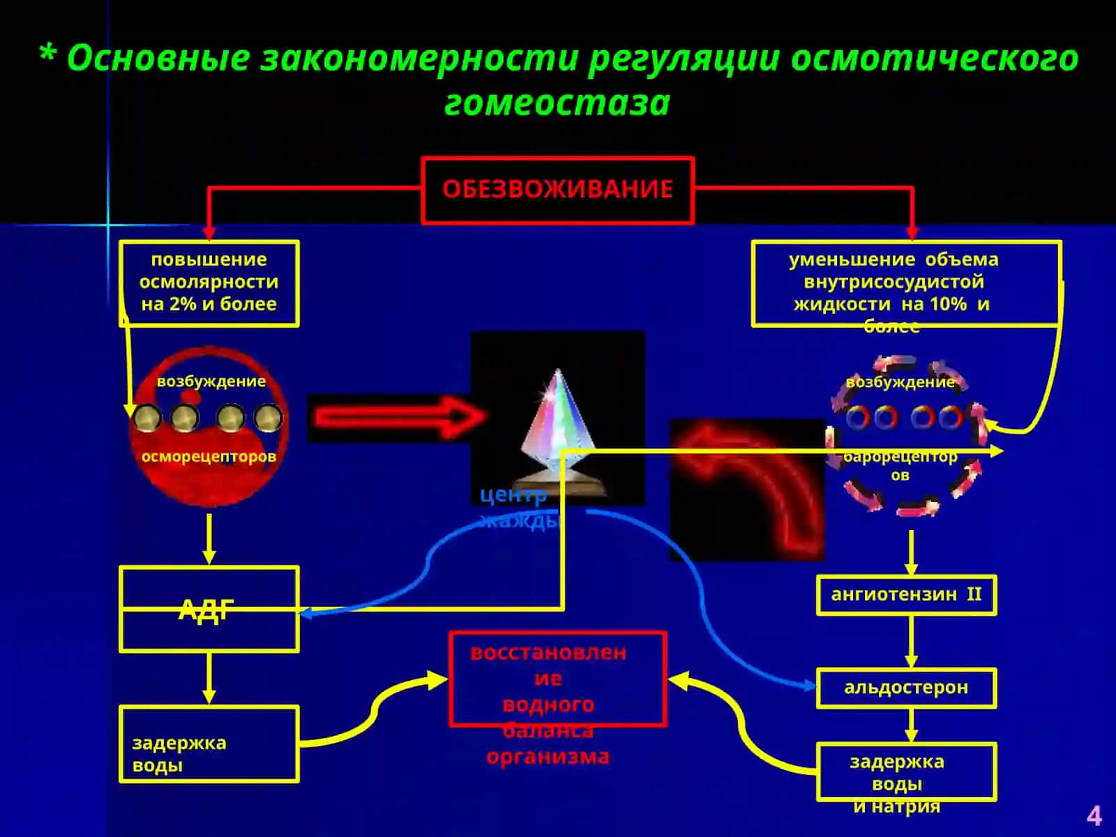 Патофизиология водно-солевого обмена 4