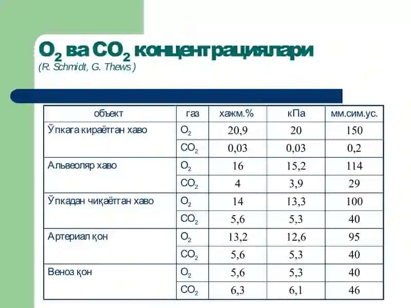 Ташқи нафастизими патофизиологияси 4