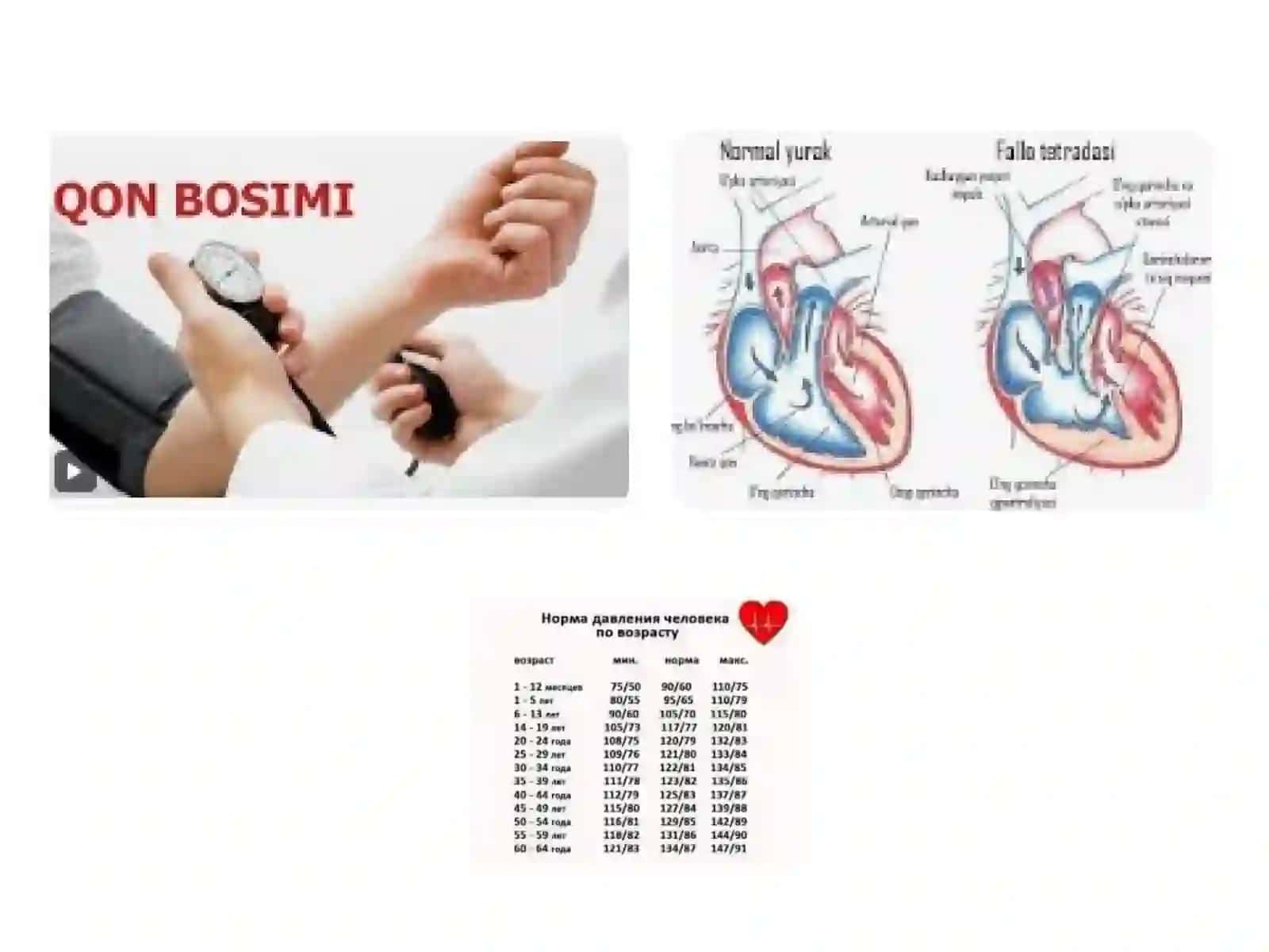 Arterial Qon Bosimi va Periferik Pulsning Tibbiyotdagi Ahamiyati 4