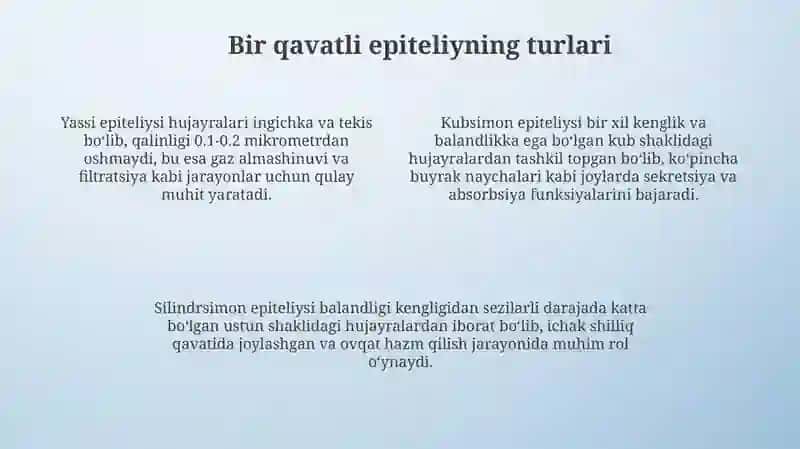 Bir qavatli epiteliy 4