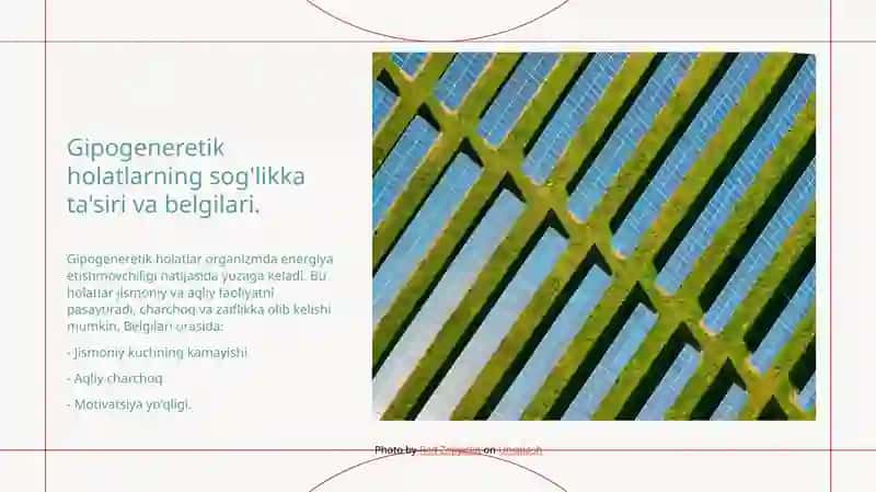 Gipoenergetik holatlar 4