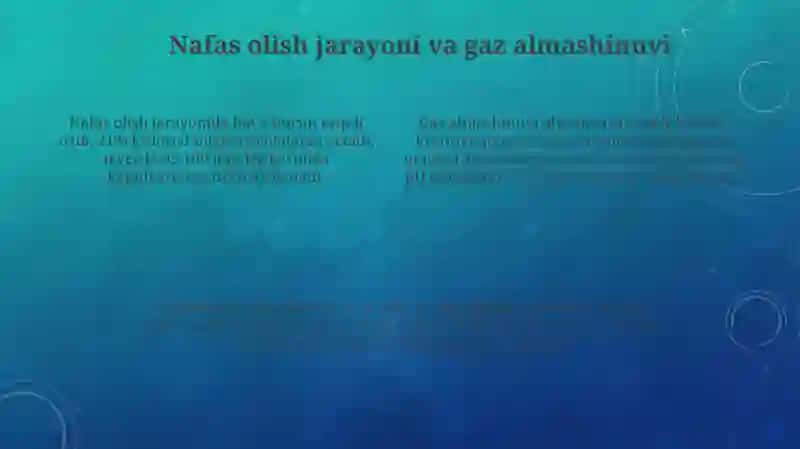 Nafas olish tizimi 4