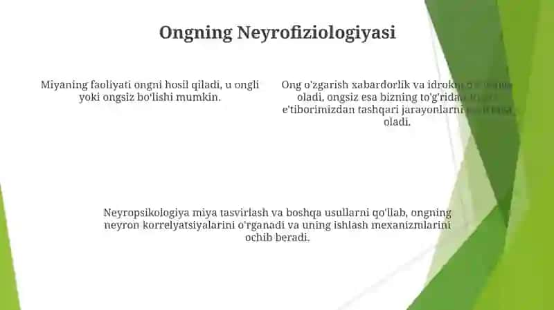 Ong tarraqqiyoti va ongsizlik 4
