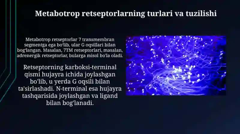 Metabotrop retseptorlar 4