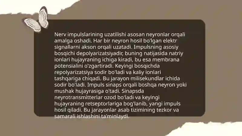 Nerf oxirlari reflektor yoyi tuzilishi 4