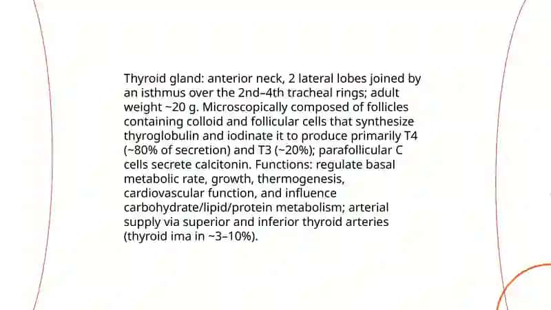 Endocrin system 4