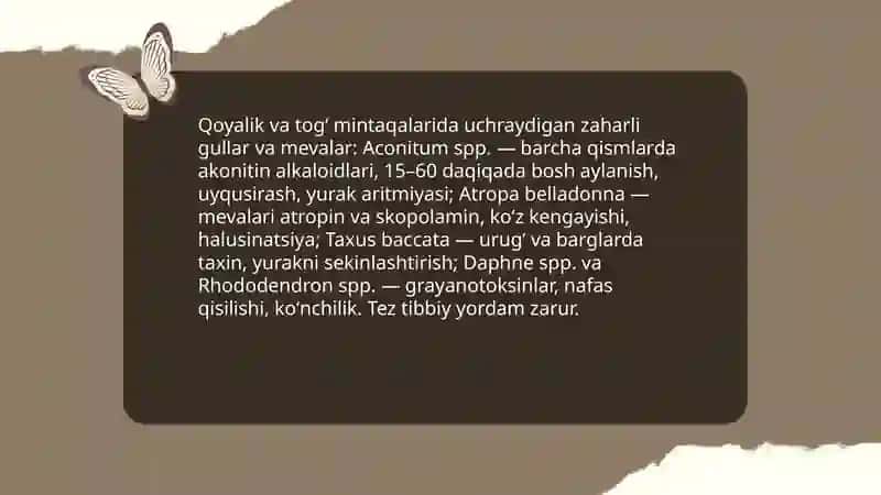 Togʻdagi zaharli oʻsimliklar 4