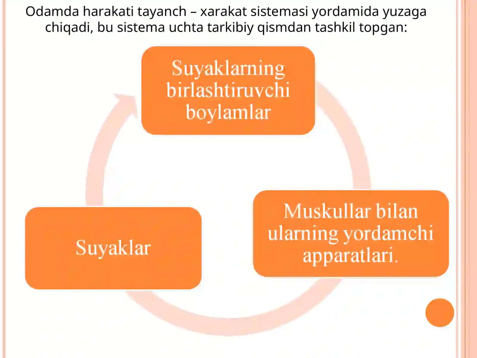 TAYANCH – HARAKAT A’ZOLARI SISTEMASI 4