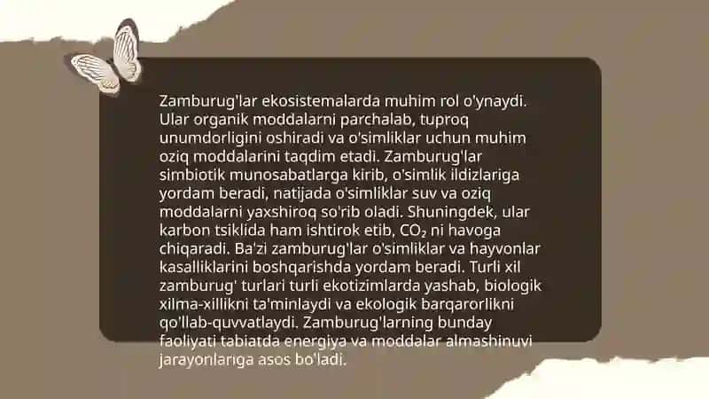 Zamburug‘lar 4