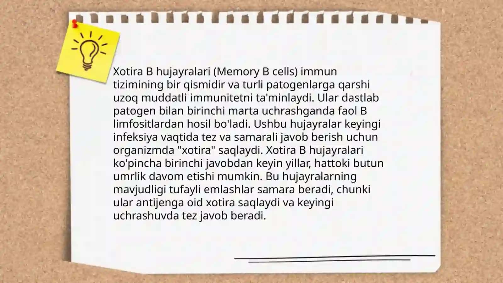 Immunologik xotira 4