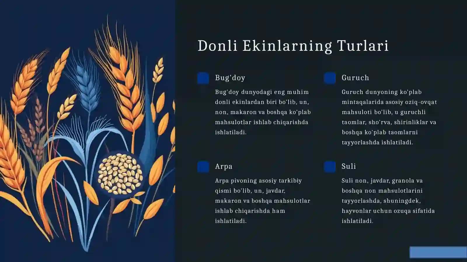 Organik dehqonchilikda  donli ekinlar  yetishtirish 4
