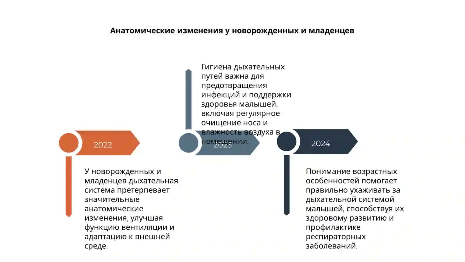 Возрастные особенности и гигиена дыхательной системы 4