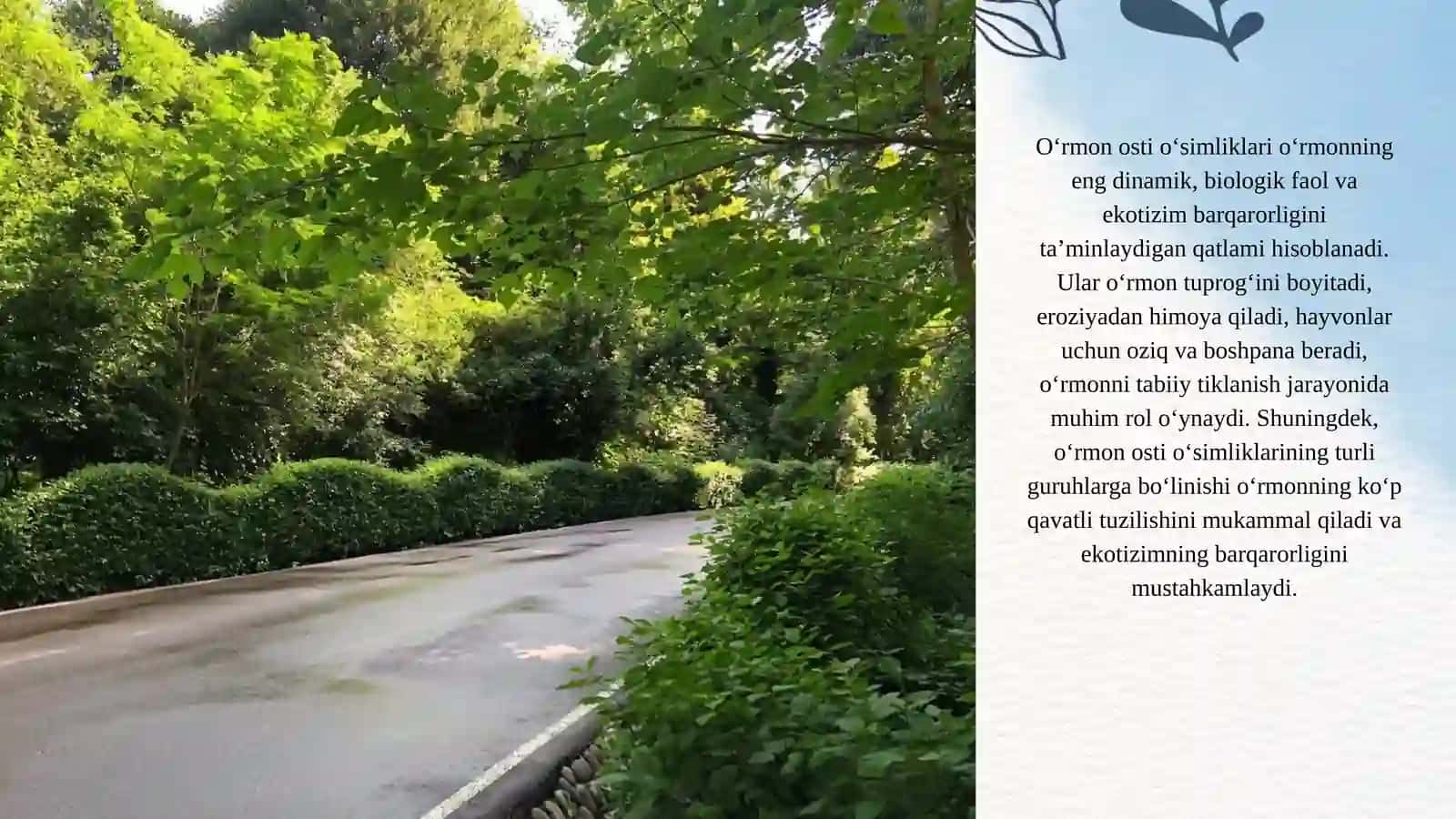 O'rmon osti o'simliklarining tarkibi va turlari 4