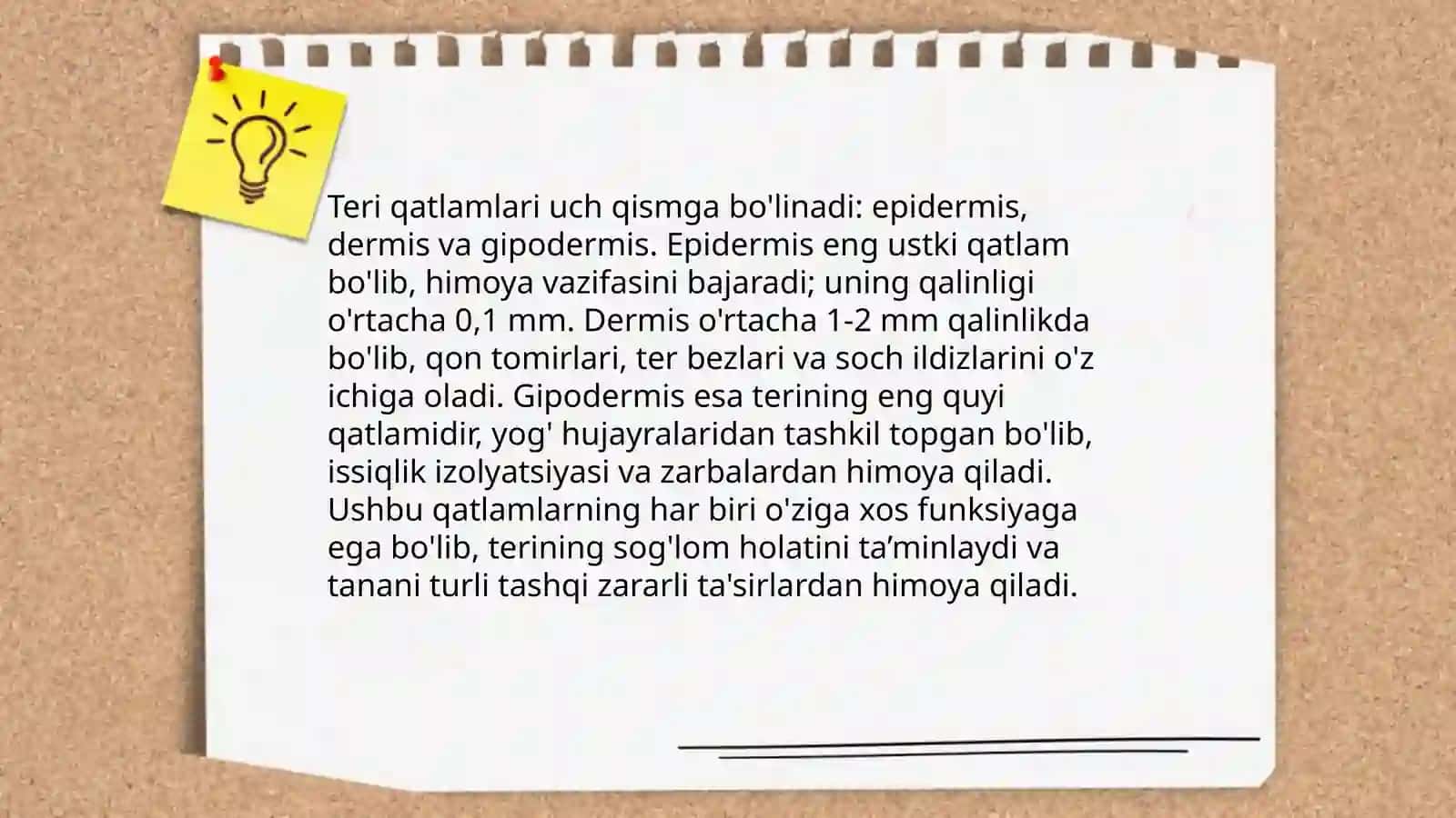 Terining ekskretor funksiyasi. Teri tarkibi 4