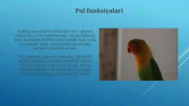 Pul Tizimlari 4