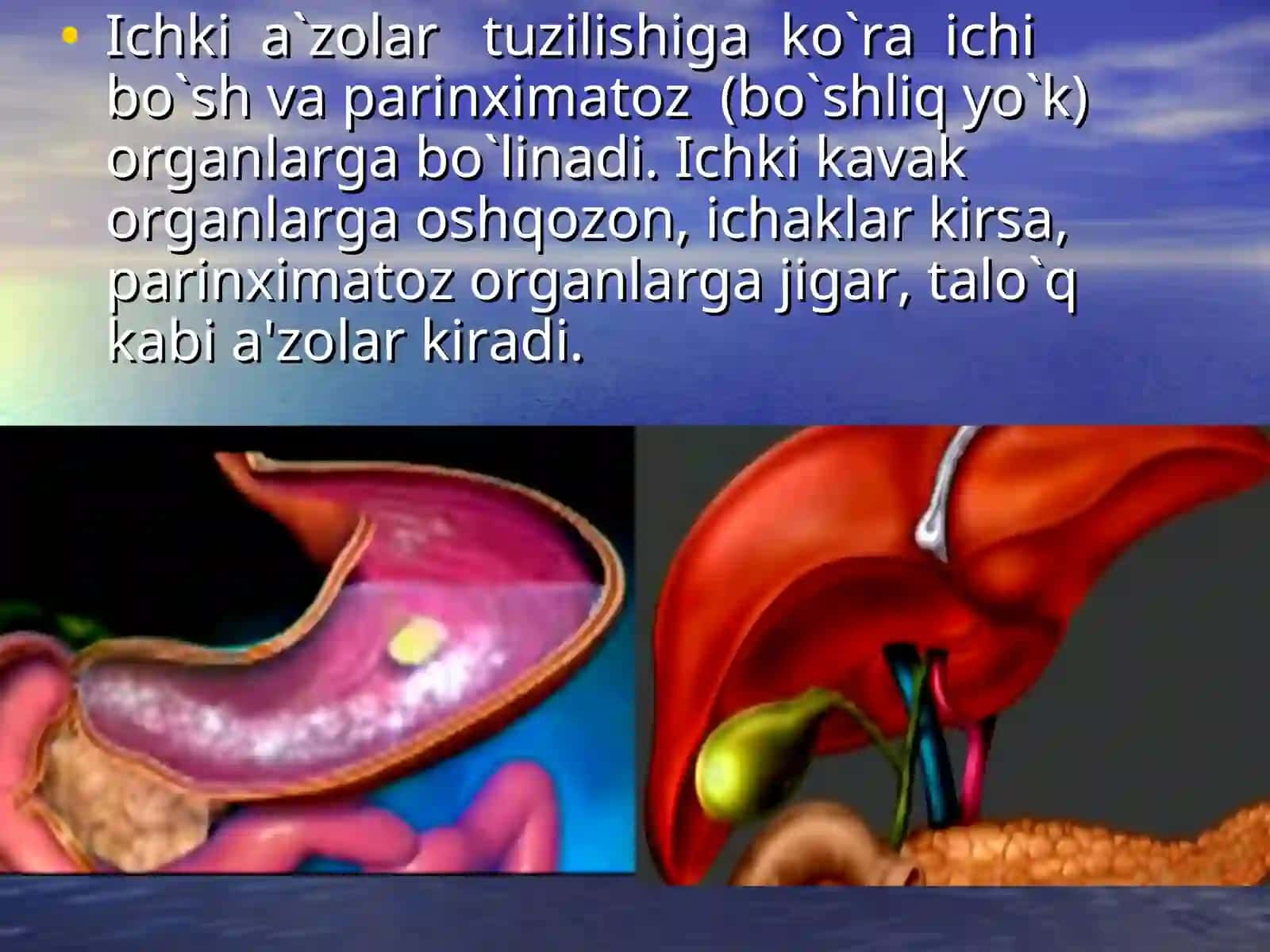 SPLANXNOLOGIYAGA 4