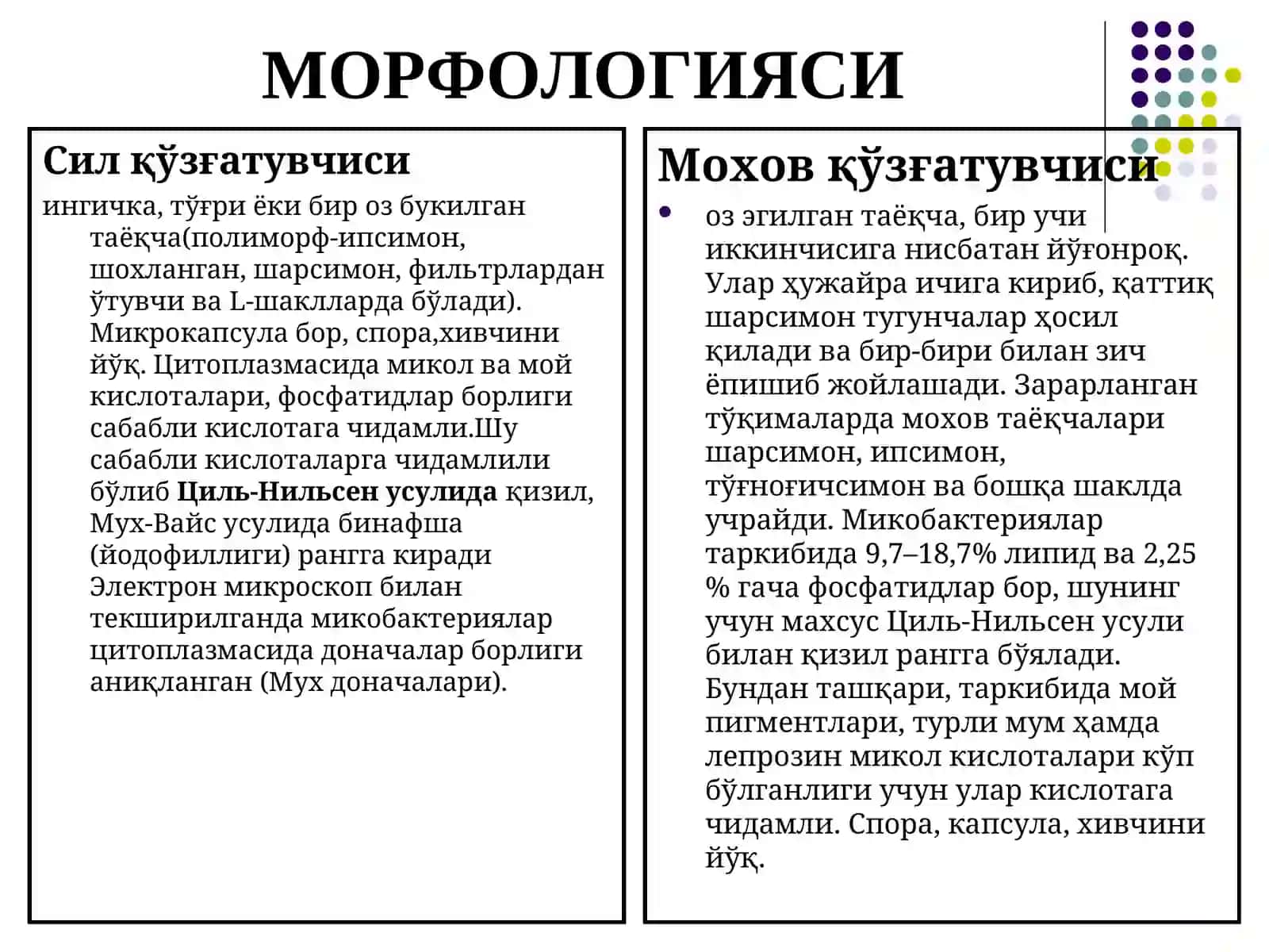 Sil va moxov kasallik qo’zg’atuvchilari 4